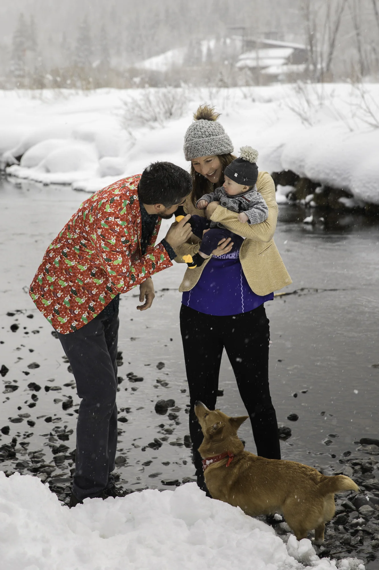 02.03.19_Grufman Family Portraits_Shredded Elements Photography-8151.jpg
