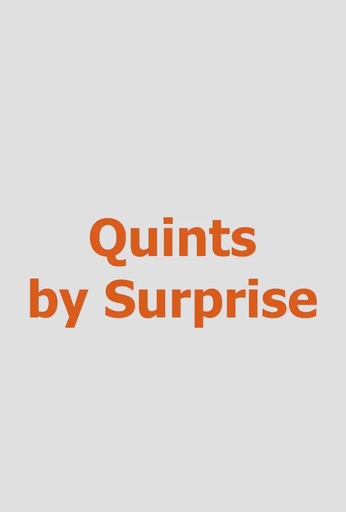 Quints By Surprise (Season 2 and 3) Megalomedia for TLC (reality TV series) Editing and re-recording.
