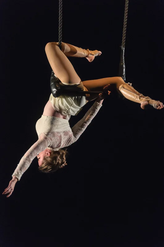 Trapeze & Lyra — Classes, Performances Aerial Arts of Utah