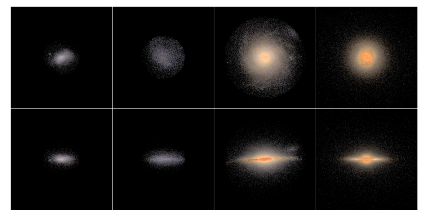 Figure 1: Face-on (upper panels) and edge-on (lower panels) views of four selected “test” galaxies from the NIHAO simulation suite arranged from left to right by increasing mass. Galaxies have been processed through the Monte Carlo radiative transfer code sunrise. Images are 50 kpc on a side..