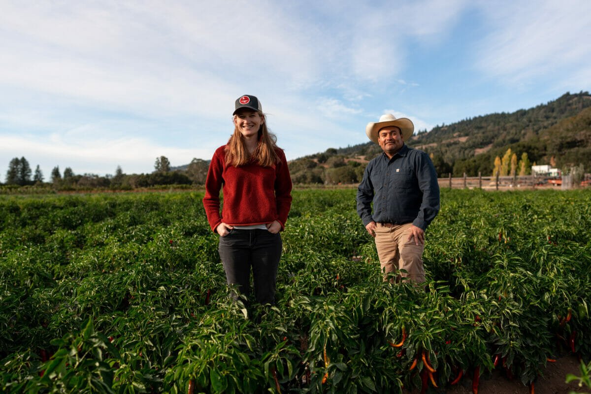 Creating a New Route for a Traditional Basque Spice