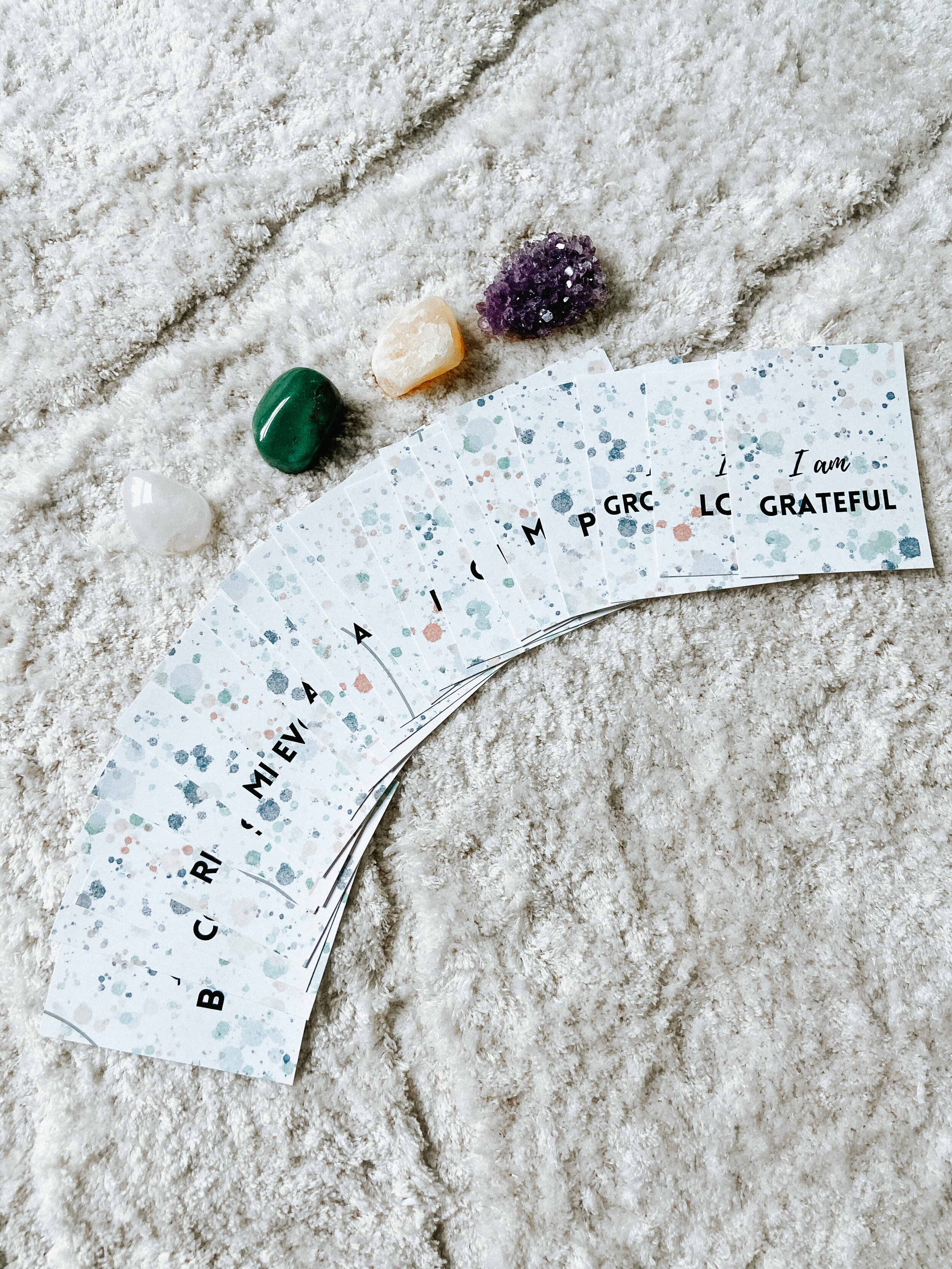 image_6483441 (4).JPG