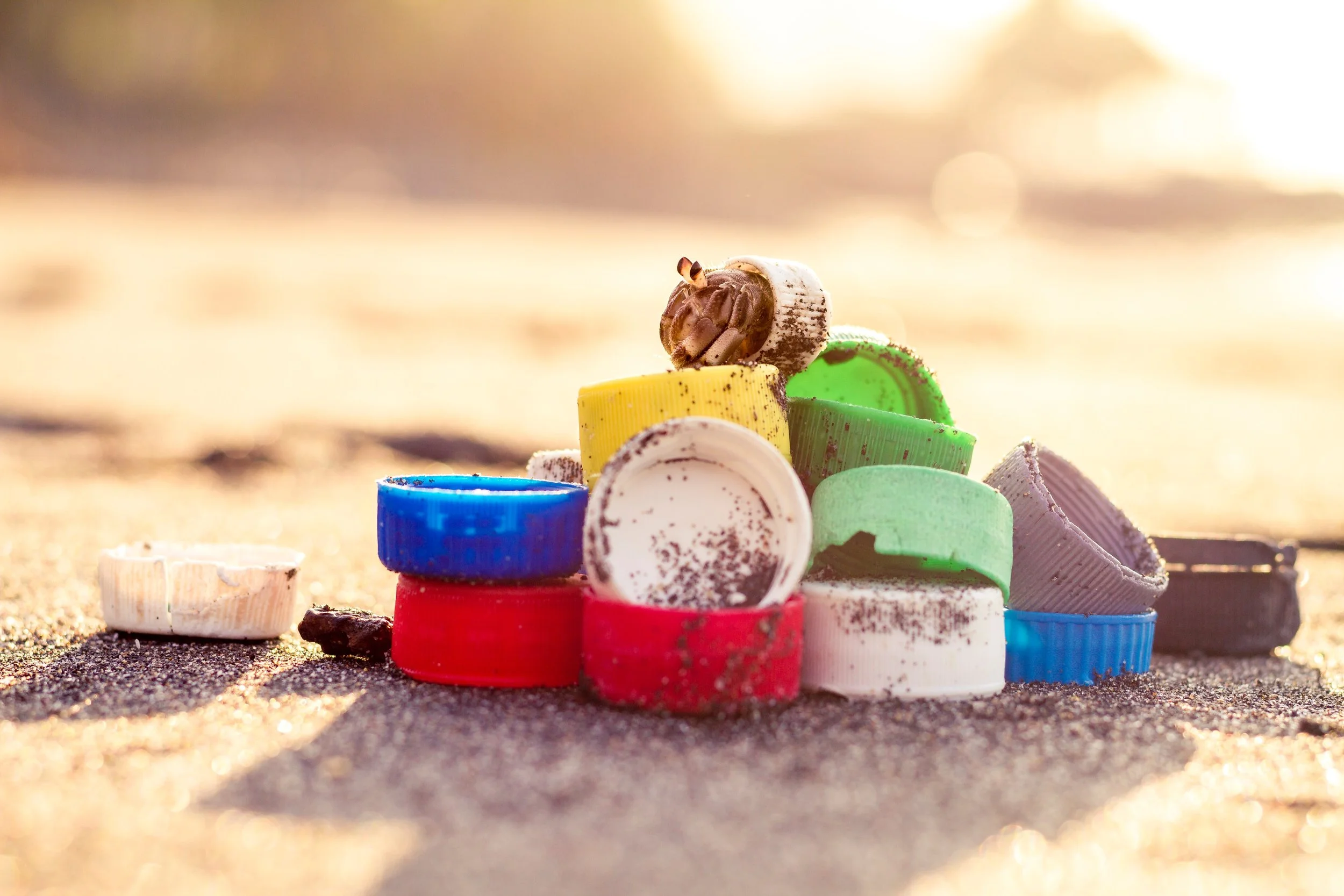Celebrate Plastic Free July