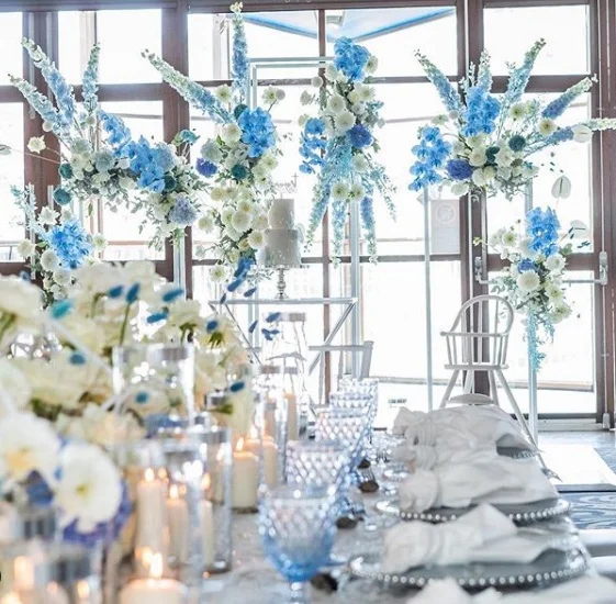White_anita_blue_underlay_silver_charger_plate_blue_theme.png