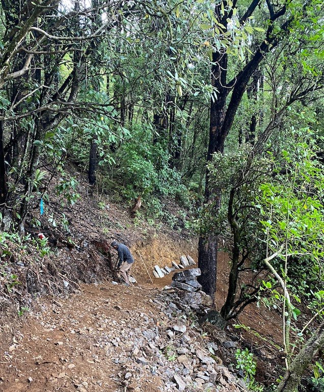 Pikikirunga Trail by Golden Bay Mountain Bike Park - Takaka Hill - New Zealand 1.jpeg