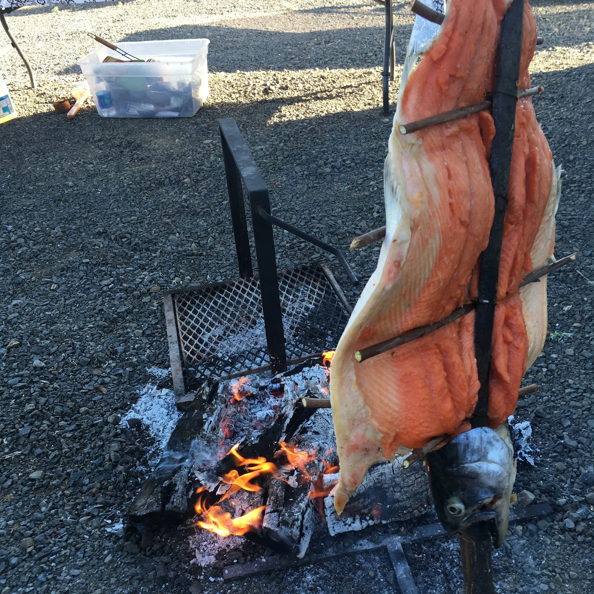  Whole Salmon, Cooked Native American Style 