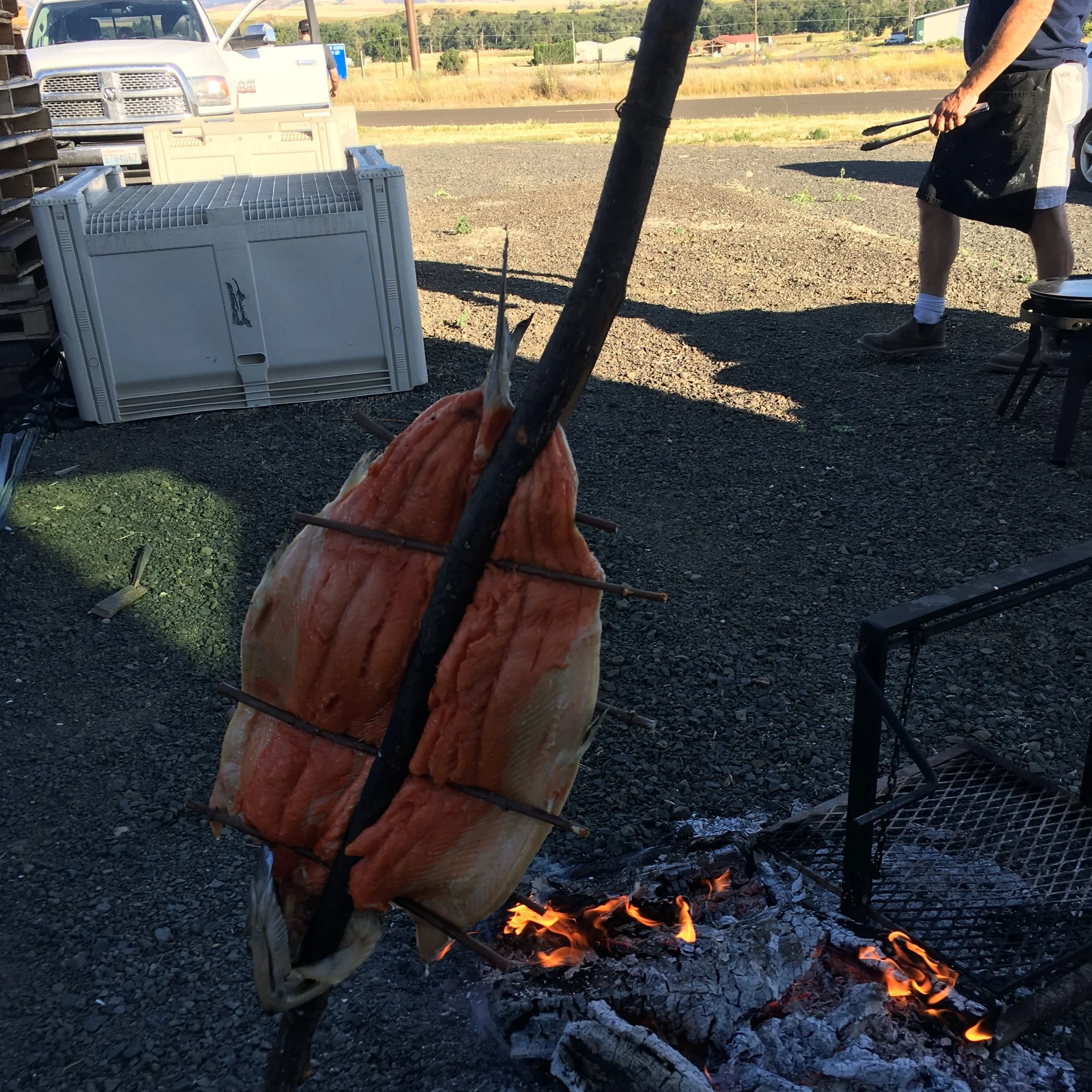  Whole Salmon, Cooked Native American Style 