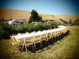 Outstanding in the Field 