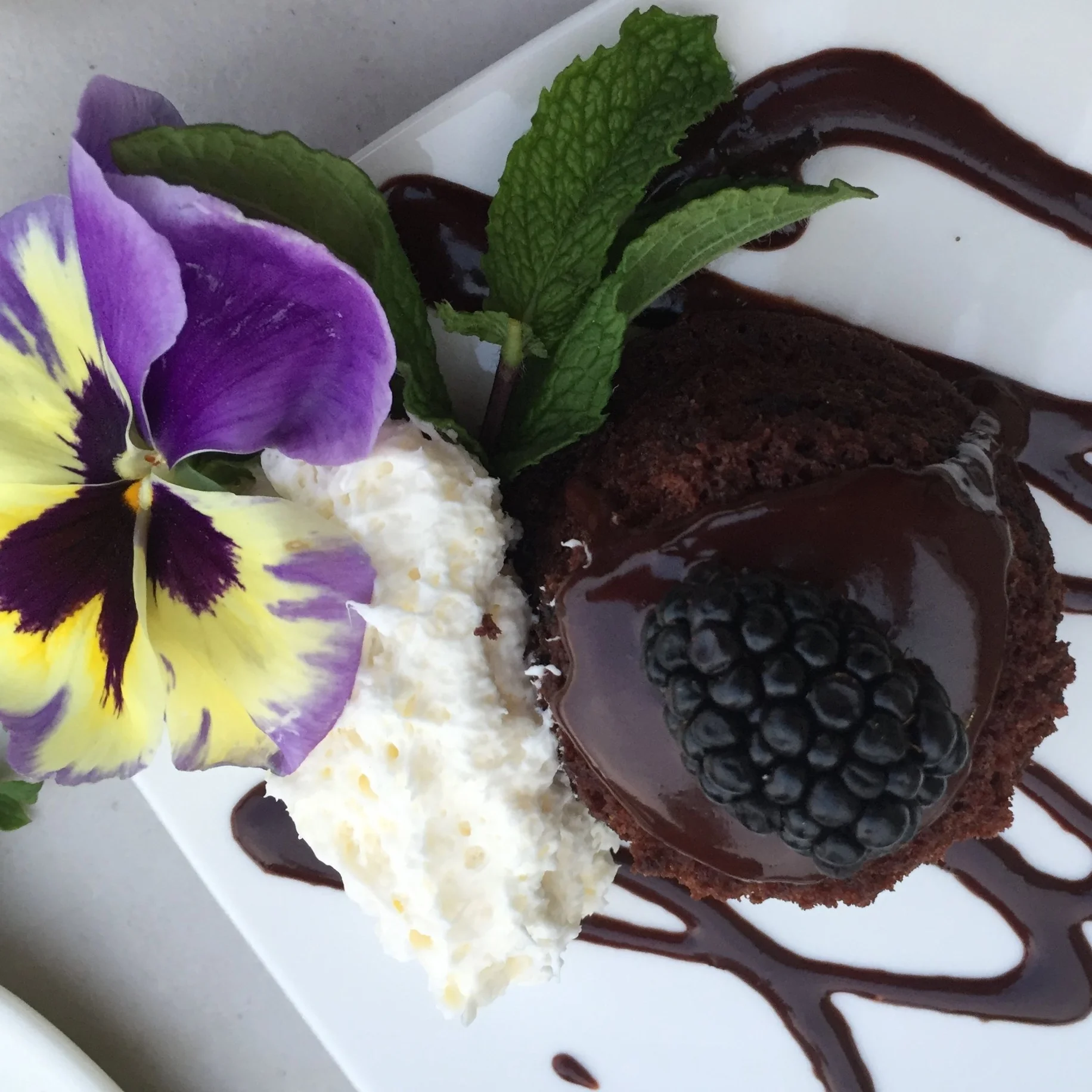  Chocolate cake with chocolate ganache drizzle and fresh whipped cream 