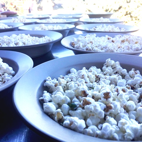 Outstanding in the Field 2019 