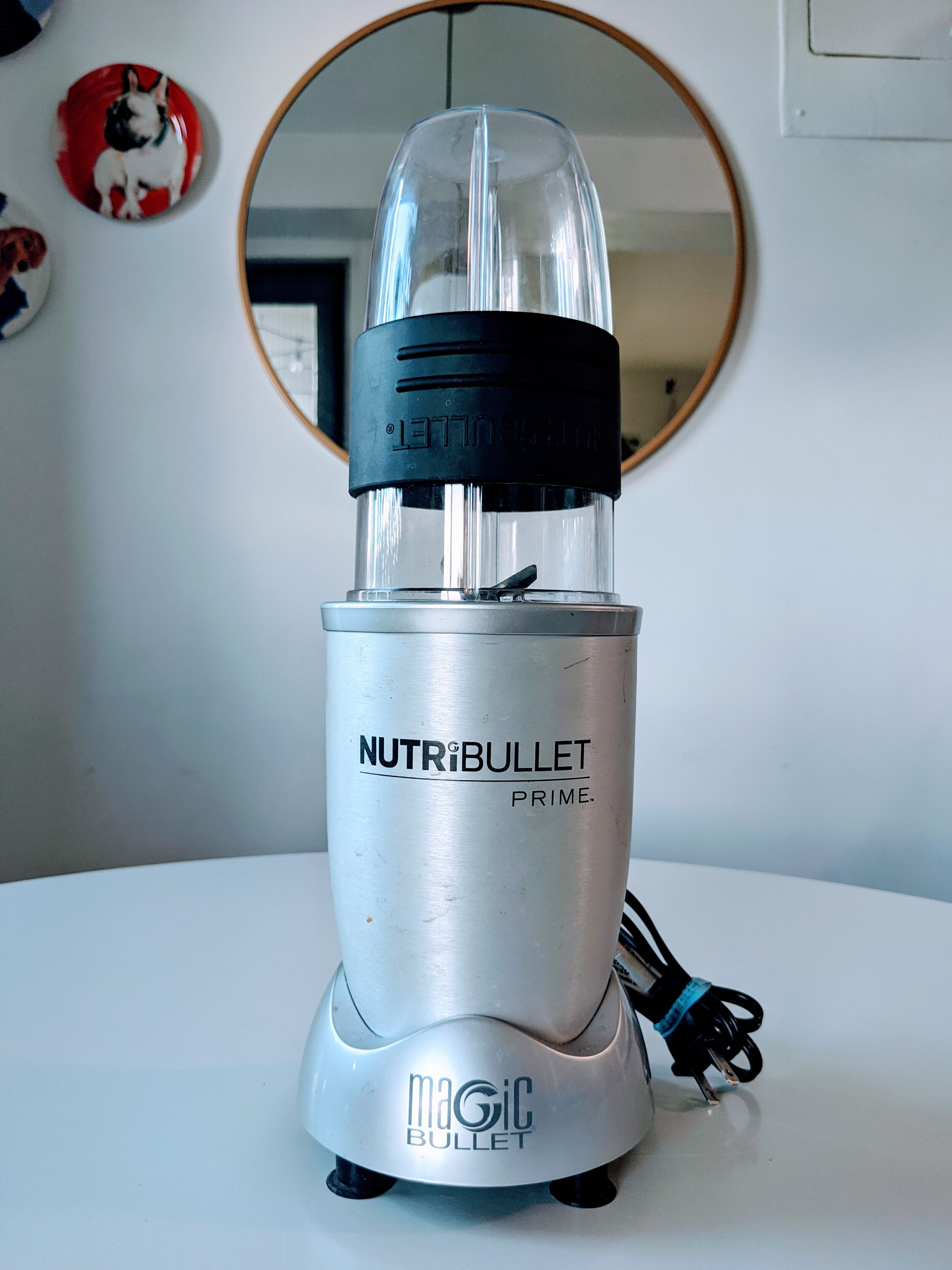 nutribullet Immersion Blender with Whisk Attachment - Dutch Goat