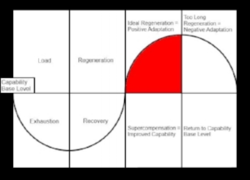 Progressive Overload