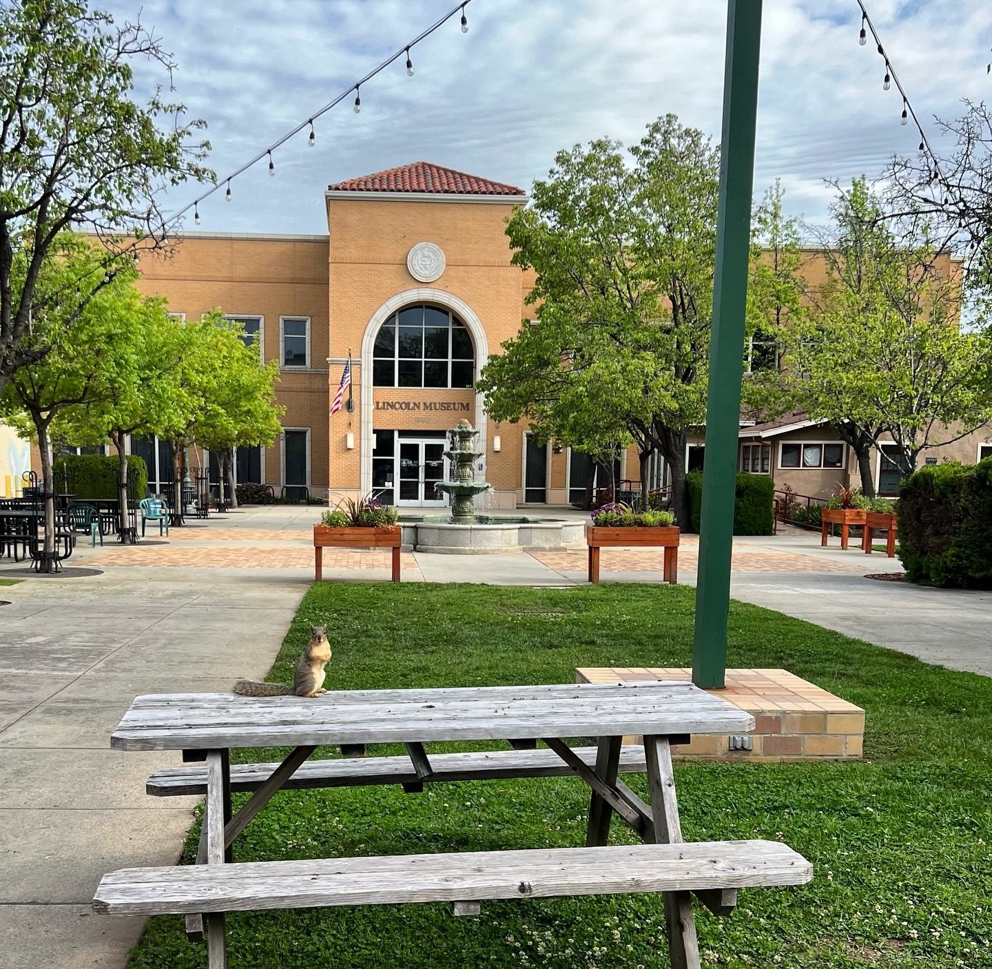DON&rsquo;T BE NUTS, Support Local 🐿️⛲️ Visit Downtown Lincoln!

www.downtownlincolnca.com

📸: @maggiemaysvintagetreasures 

#downtownlincolnca #lincolnca #lovelincolnca #placercounty #exploreplacer #dinelocallincoln#supportlocal #shopsmall #locale