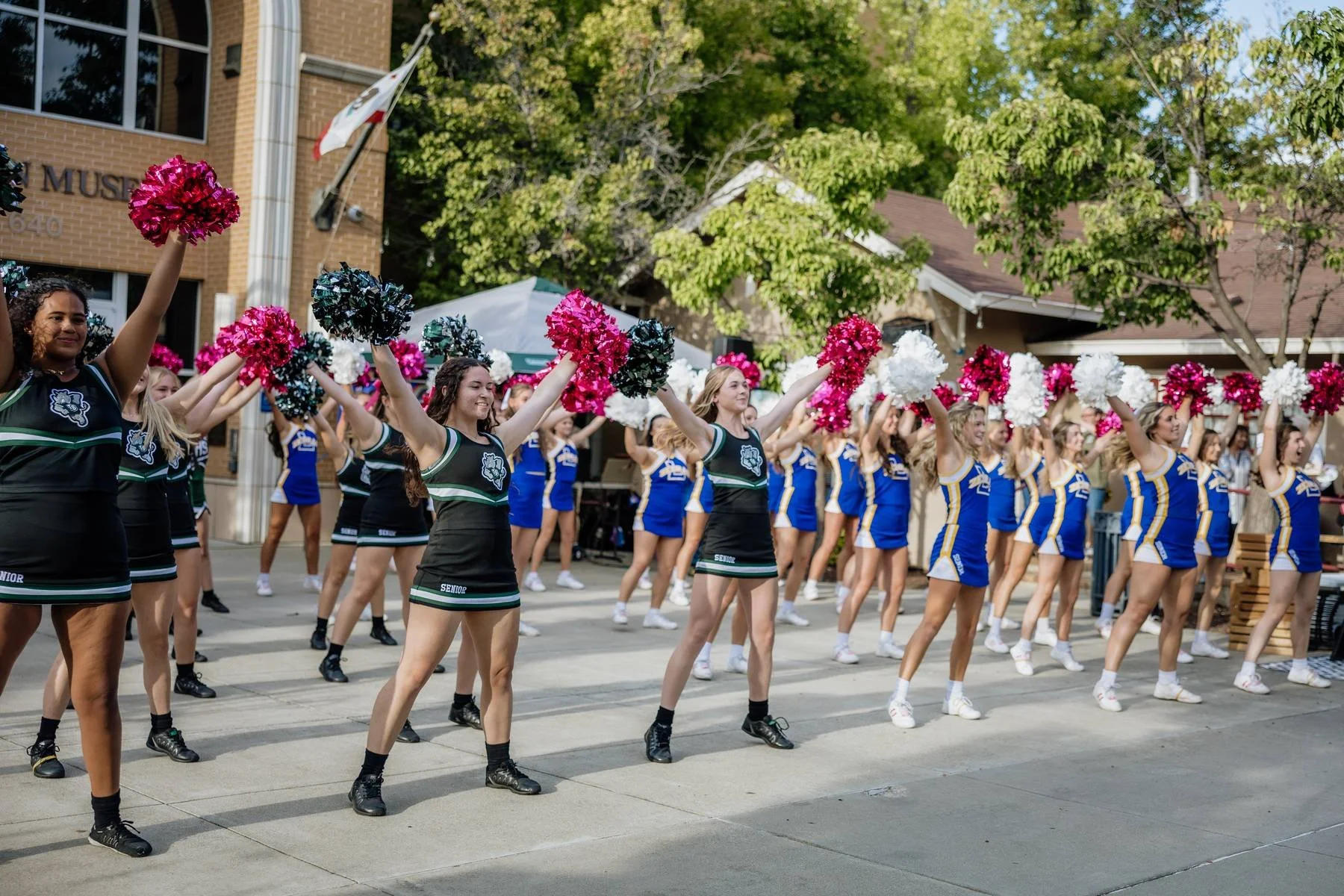 Cheerleaders with pom-poms performing at an outdoor event. Multiple cheerleaders are holding pink, black, and white pom-poms, and are dressed in black and blue uniforms. Trees and a building are visible in the background.