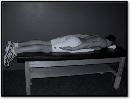 upperbodyarms.png