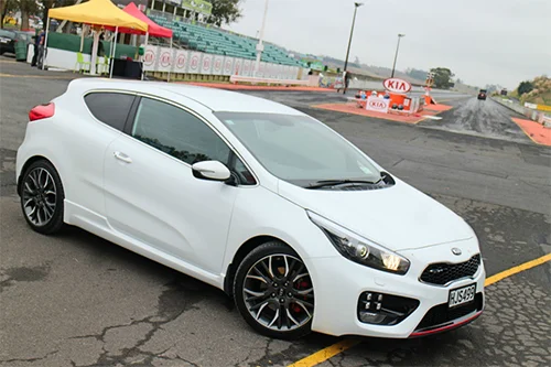 Proceed GT: Best of the bold