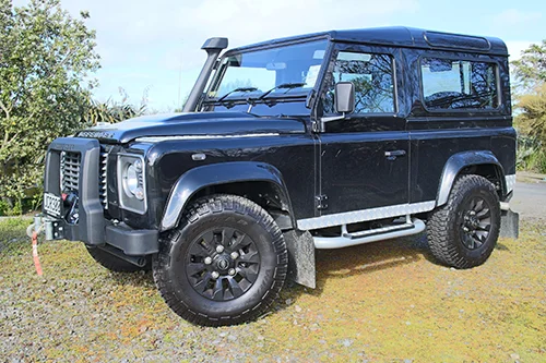 Defender – ever the hero