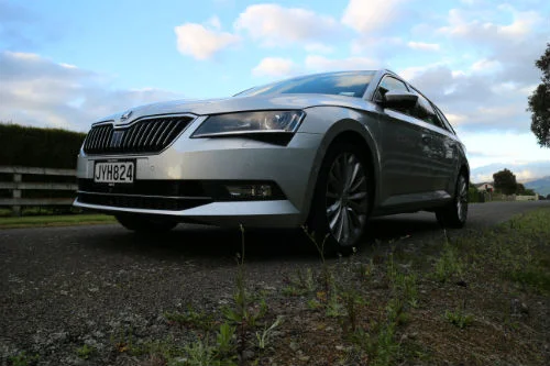 MNNov7_Superb206_2.jpg