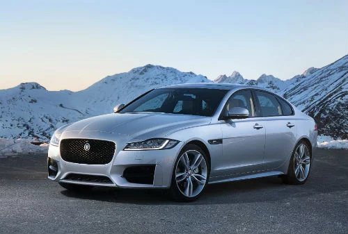 All-paw XF option on backburner