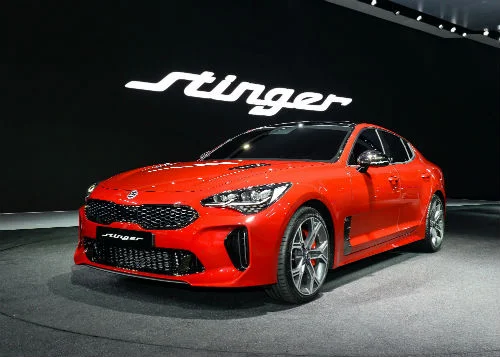 MNAugust13_Stinger3.jpg
