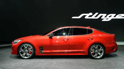 Stinger silence from NZ distributor