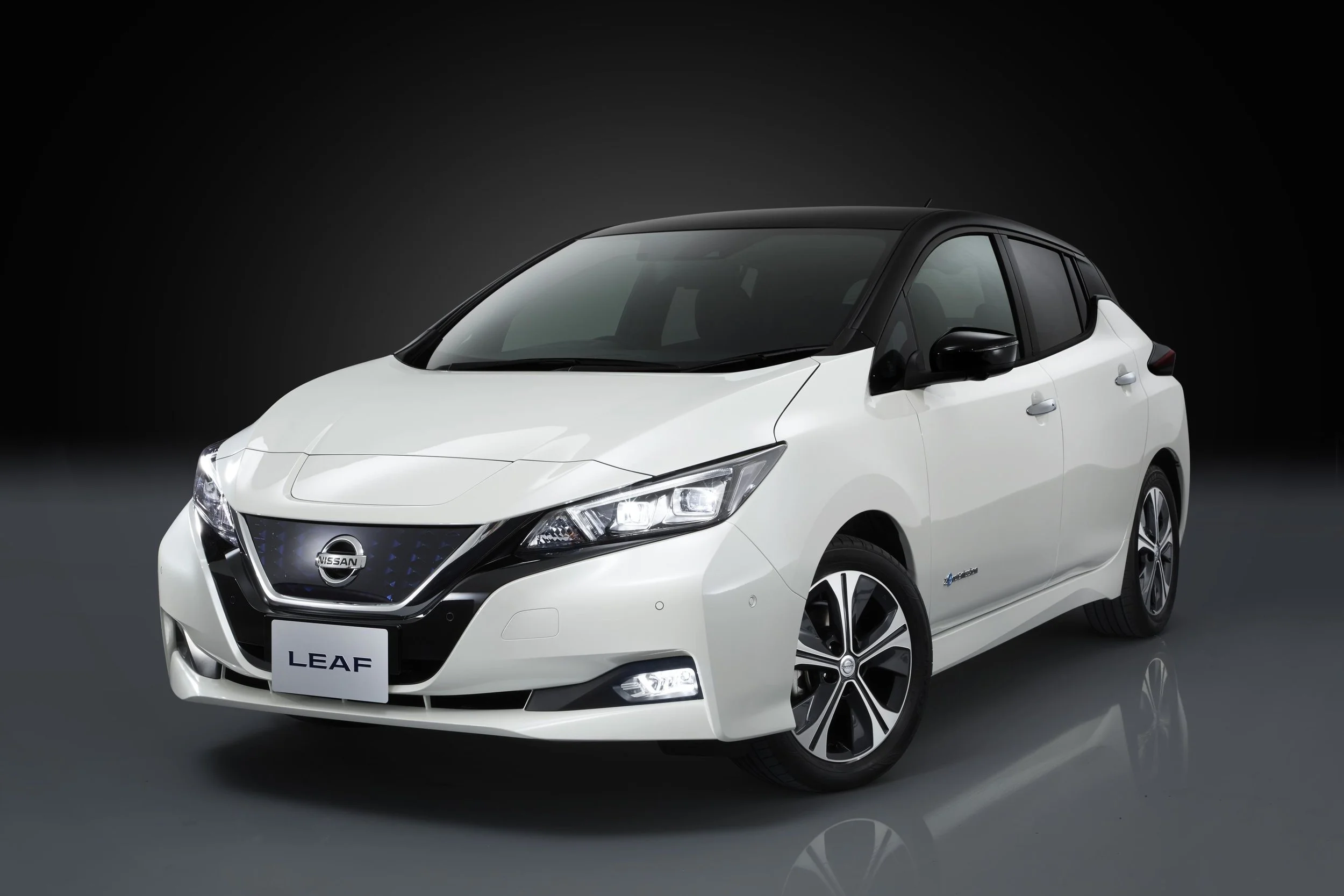 LEAF sales challenge unchanged