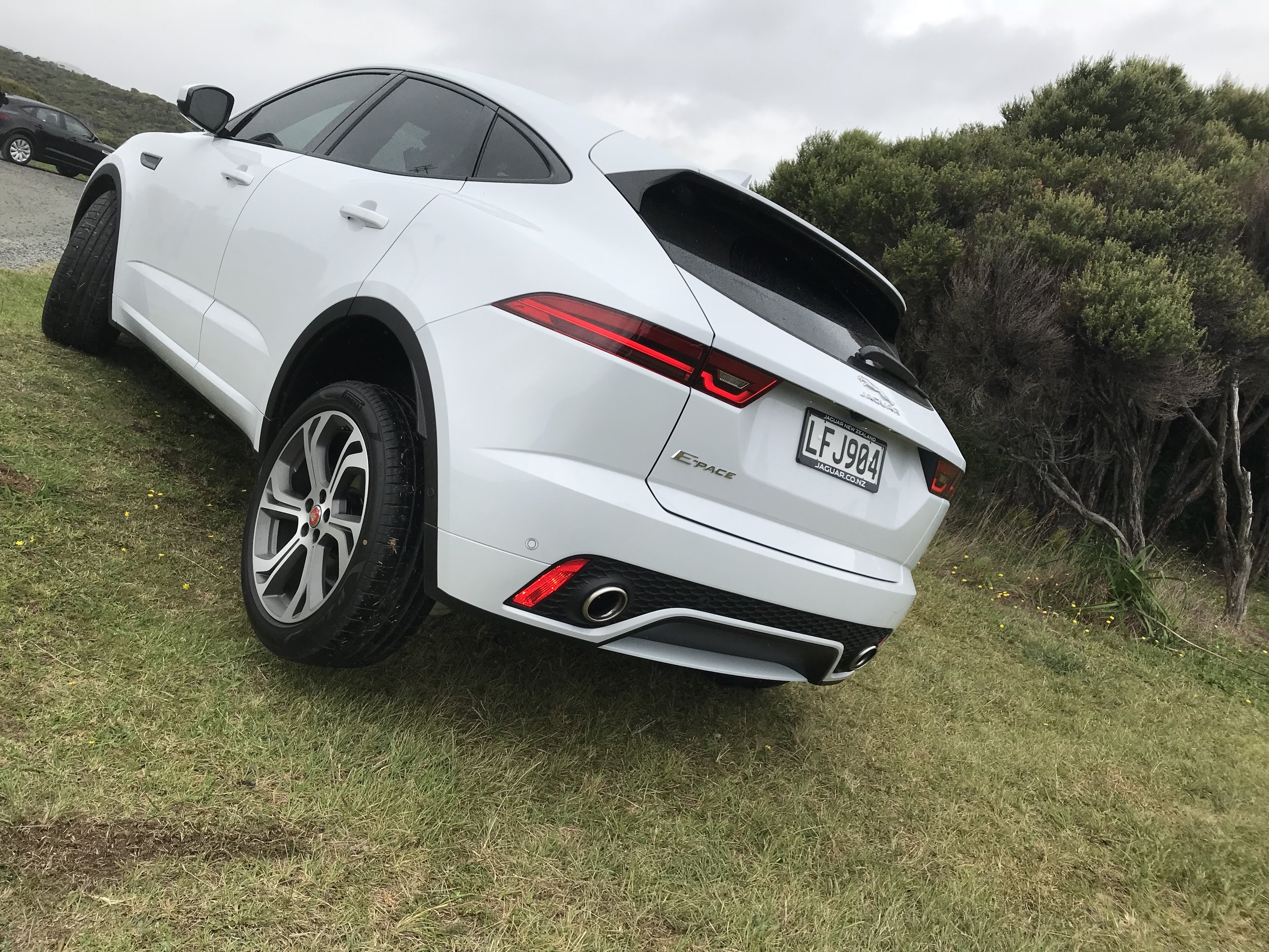 EPace3.jpg