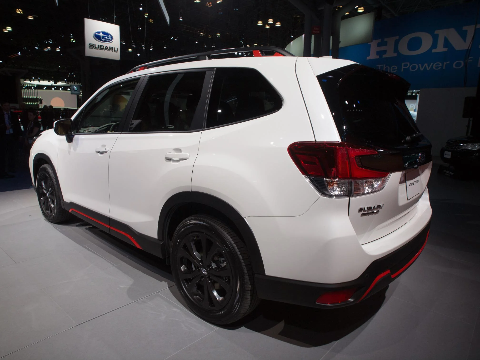 Forester1.jpg