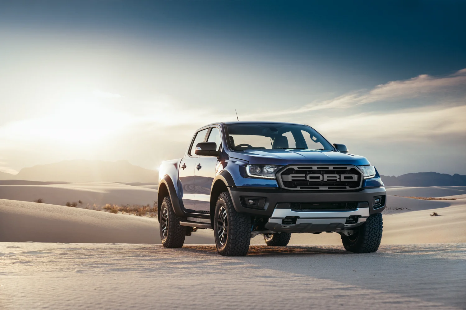 Raptor flies high with $85k sticker