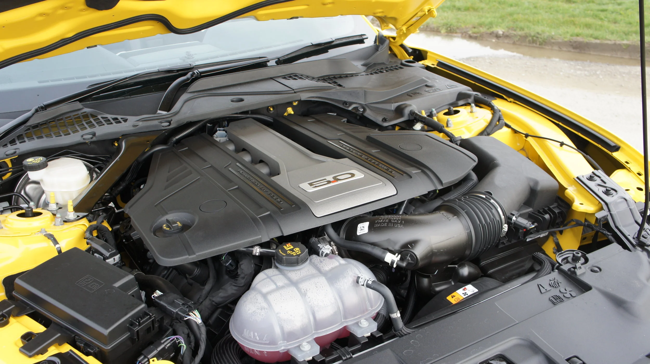 Stang6.jpg