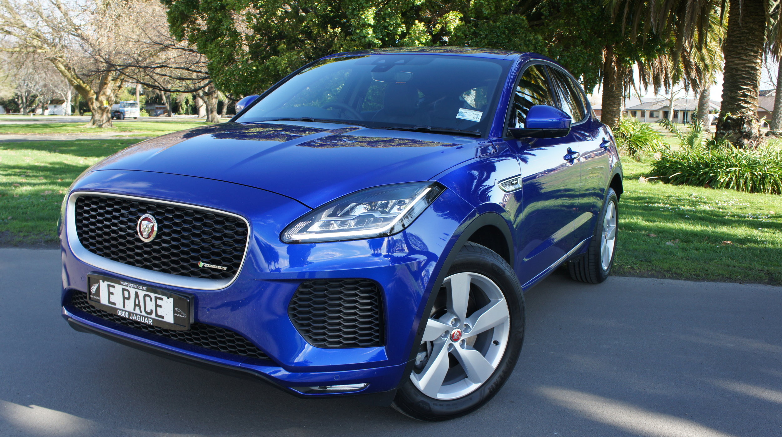 E-Pace P250 S: Junior Jag running with cool cats