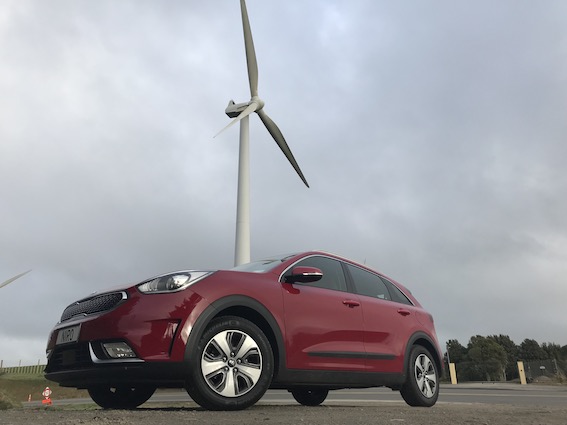 Niro1.jpg