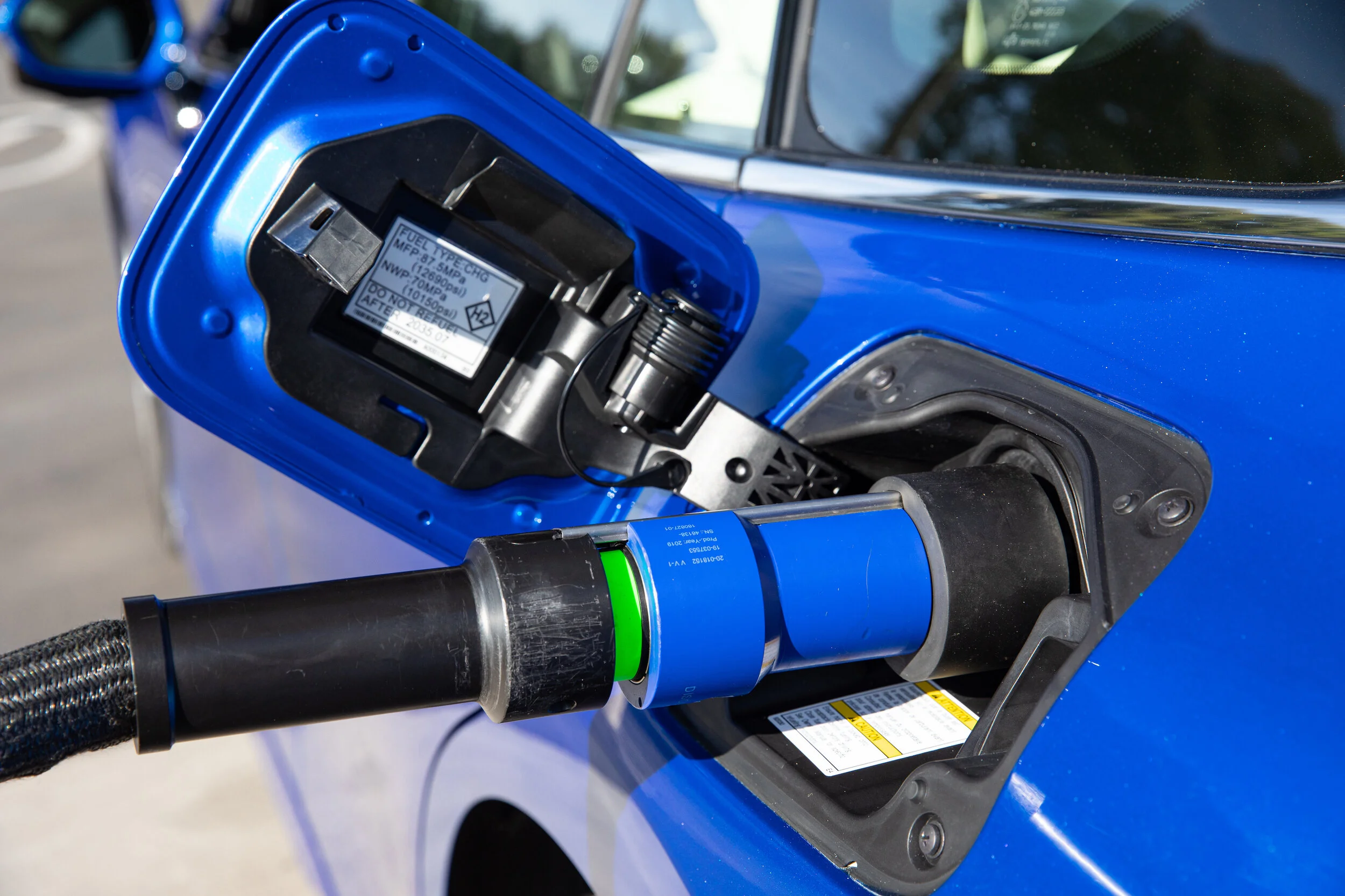 TNZ seeks measured pace to electric rush