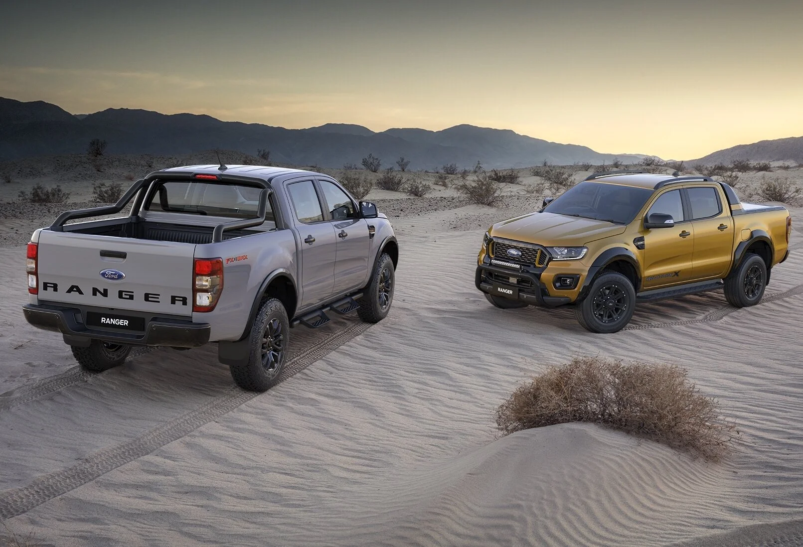 Ute buyers ignore Government sentiment