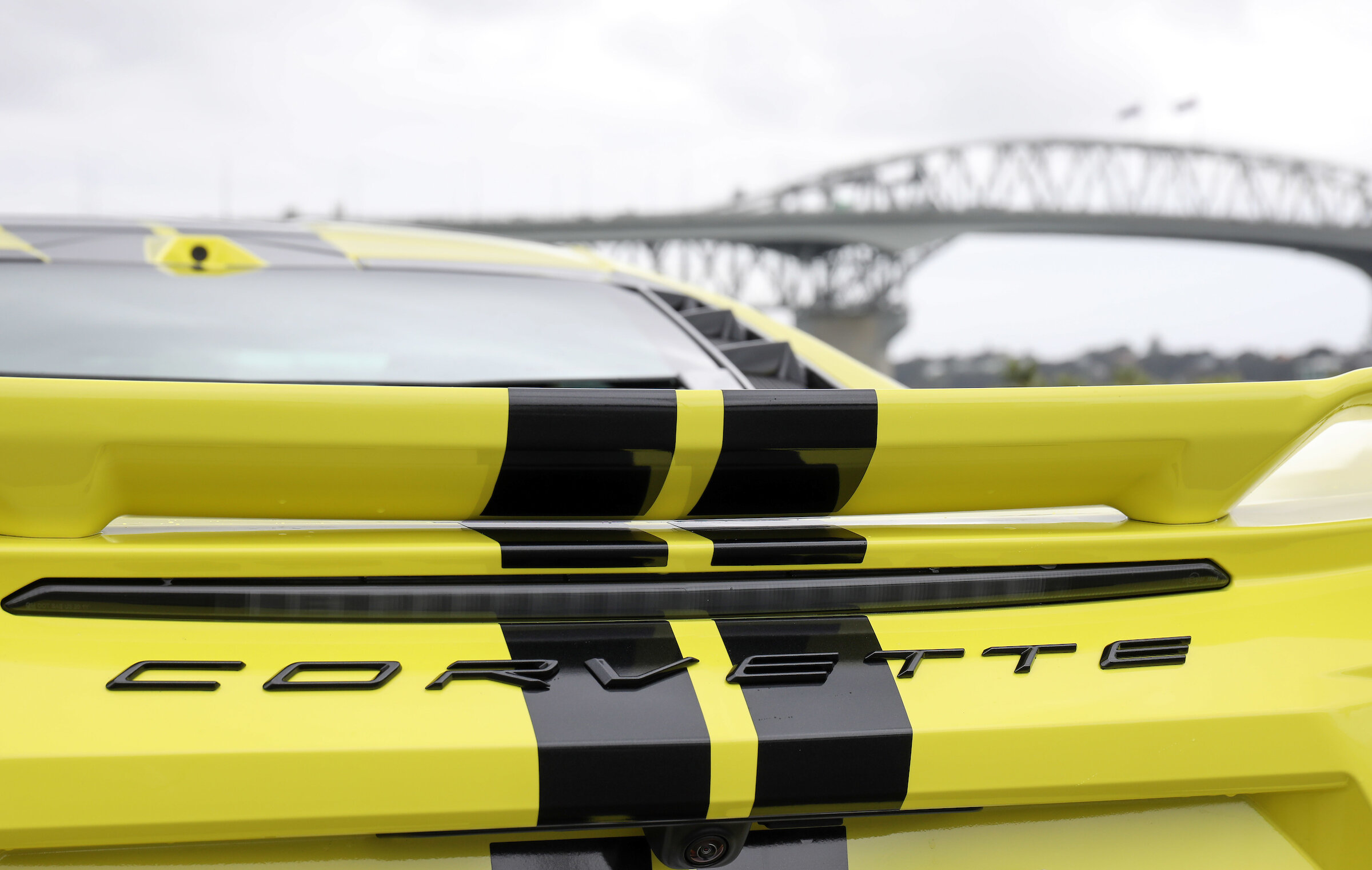 No Covid immunity for Corvette