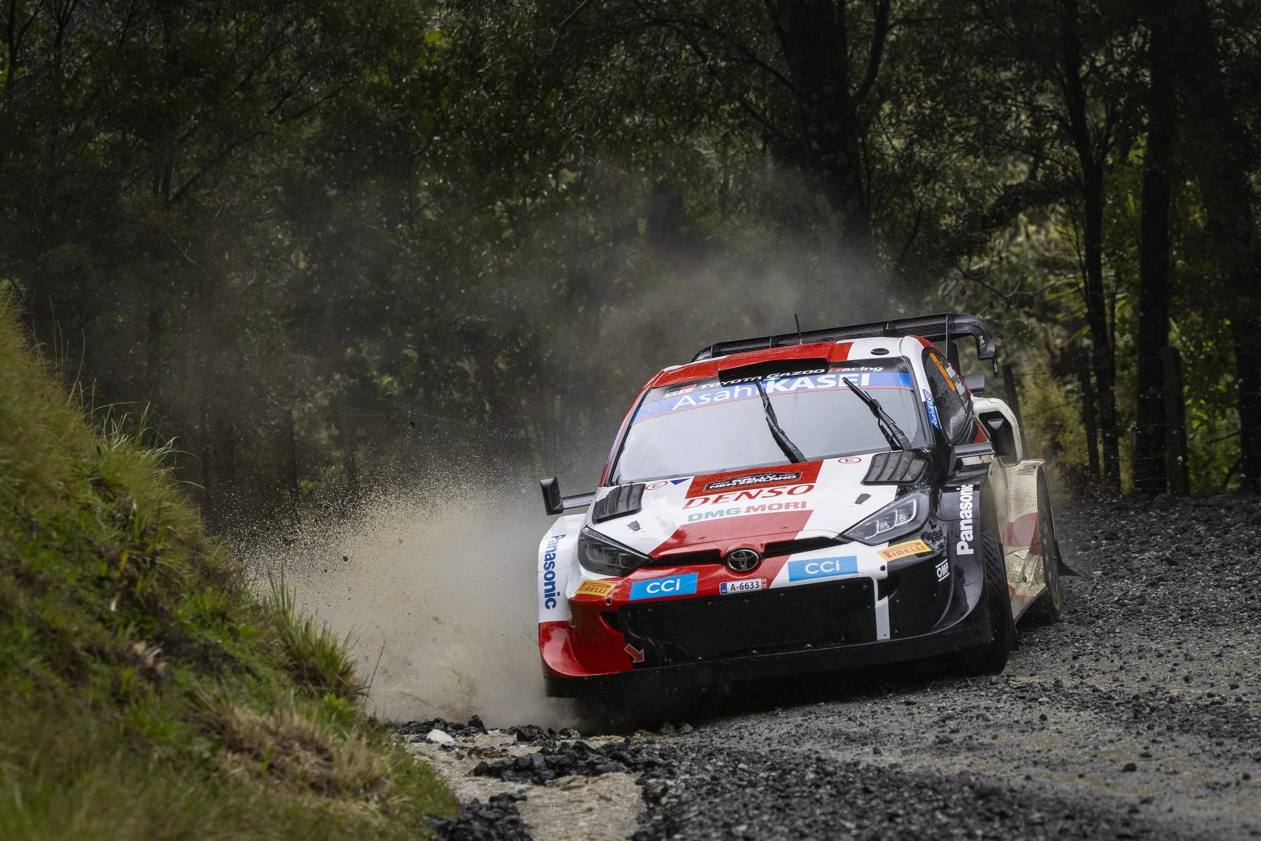 Motoring writers applaud Rally NZ chairman