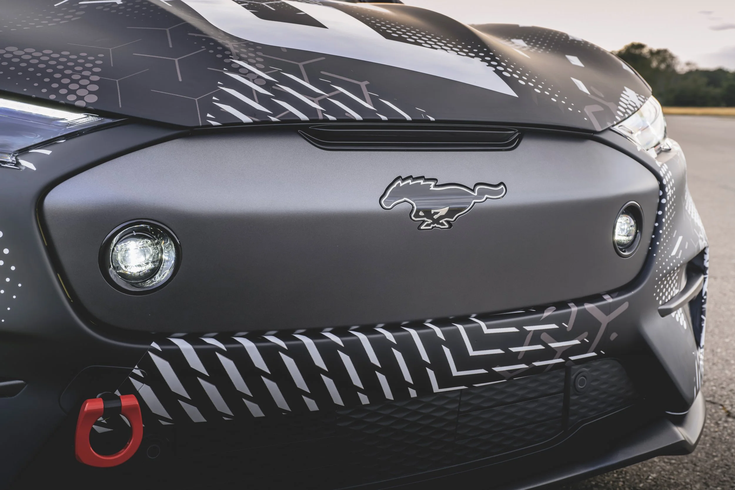 Stone-spitting ‘Stang for NZ?