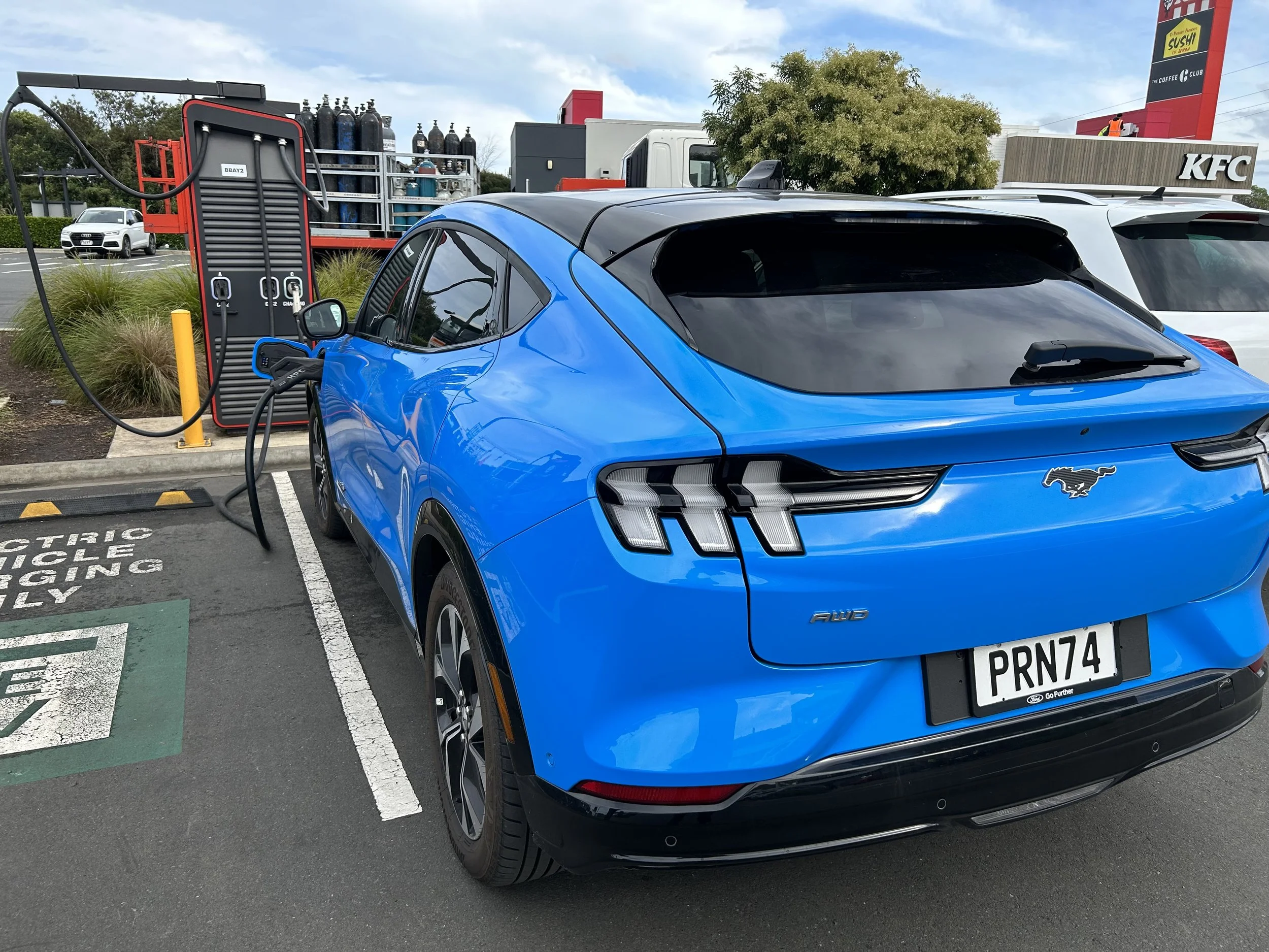 Pro-EV group seeks charging, support ramp-up