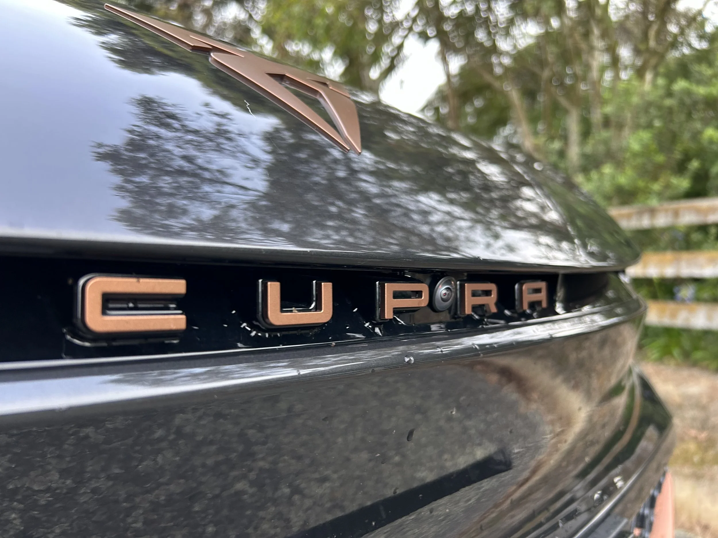 Cupra Born roadtest review: One from the heart