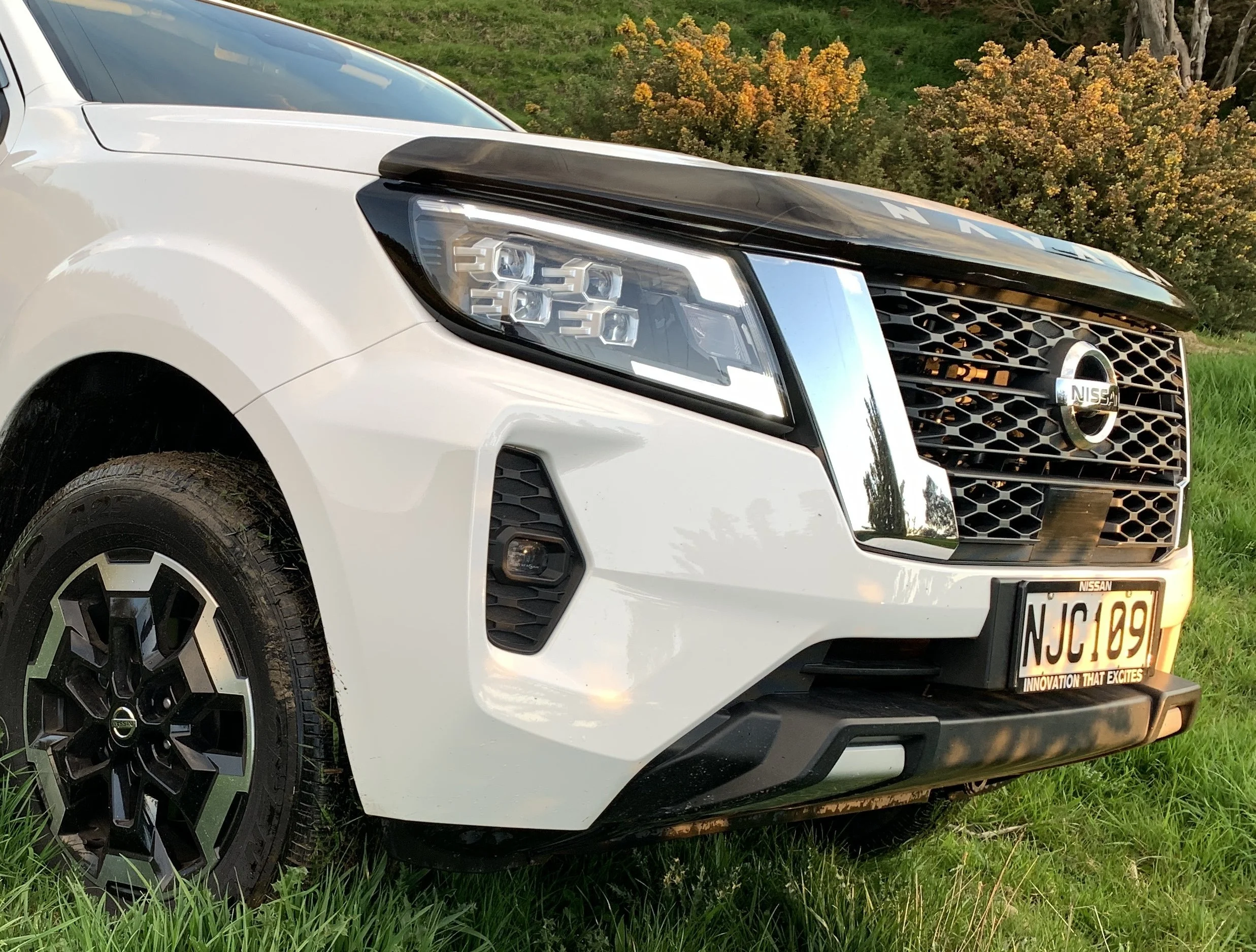 NZ a quiet achiever with Nissan global push