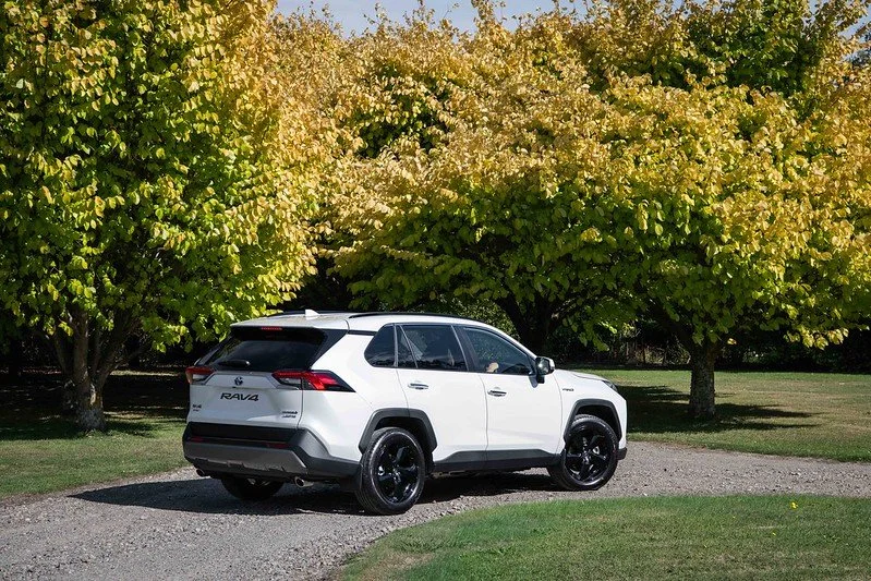 Slim pickings in June for new car sector
