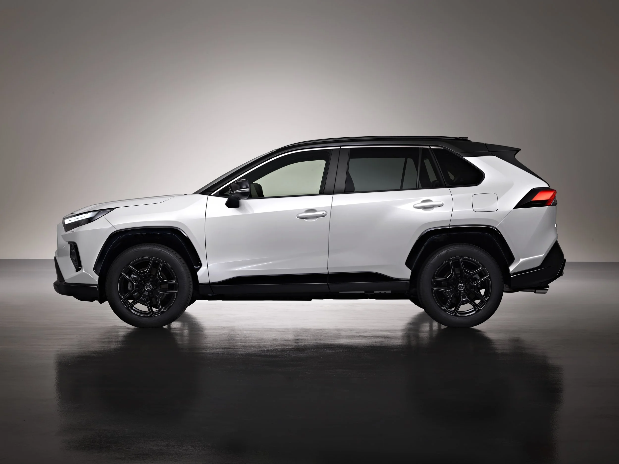 Fatal plant accident no big issue for RAV4 feed