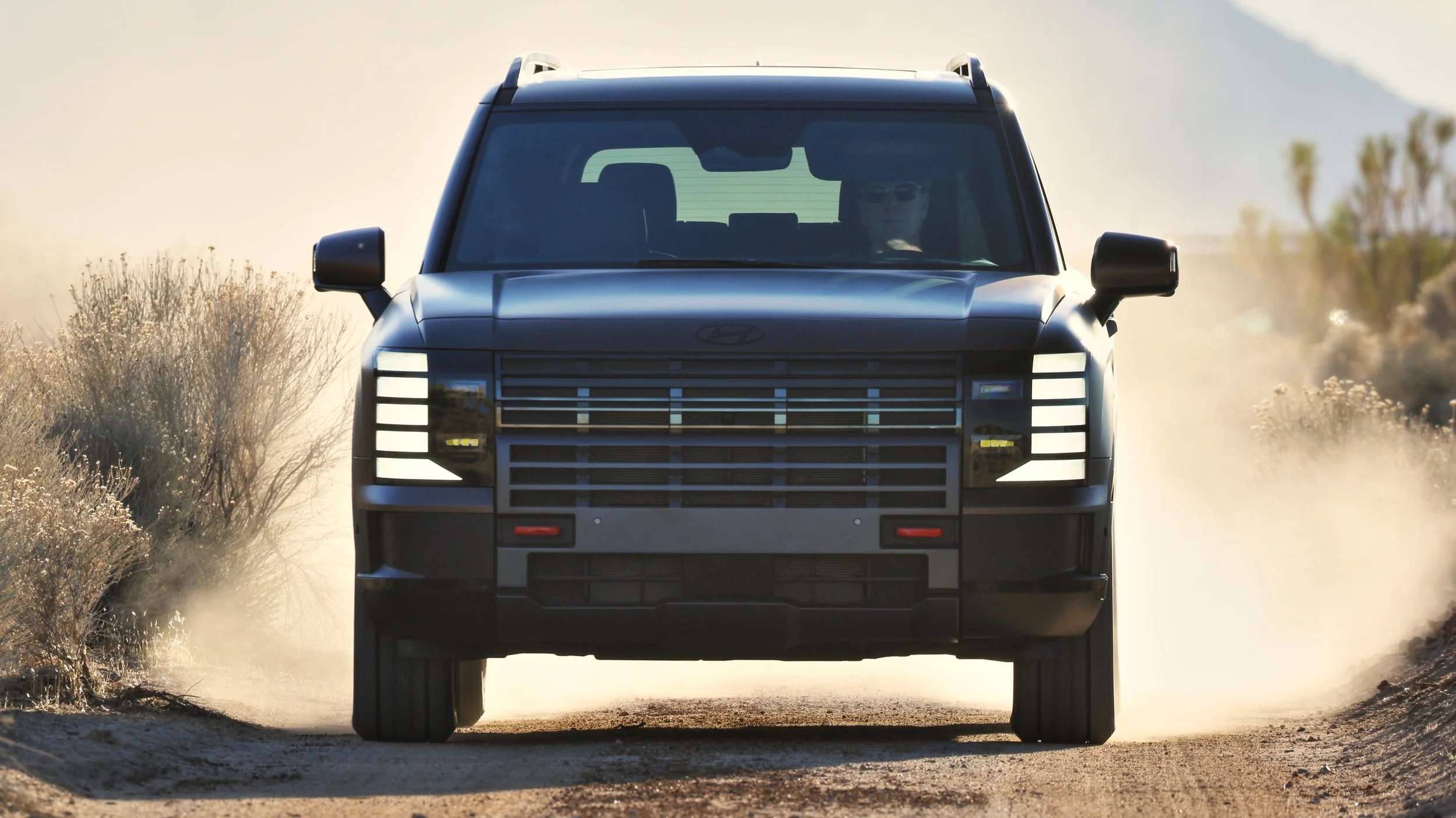 Palisade joins Hyundai’s hybrid gang