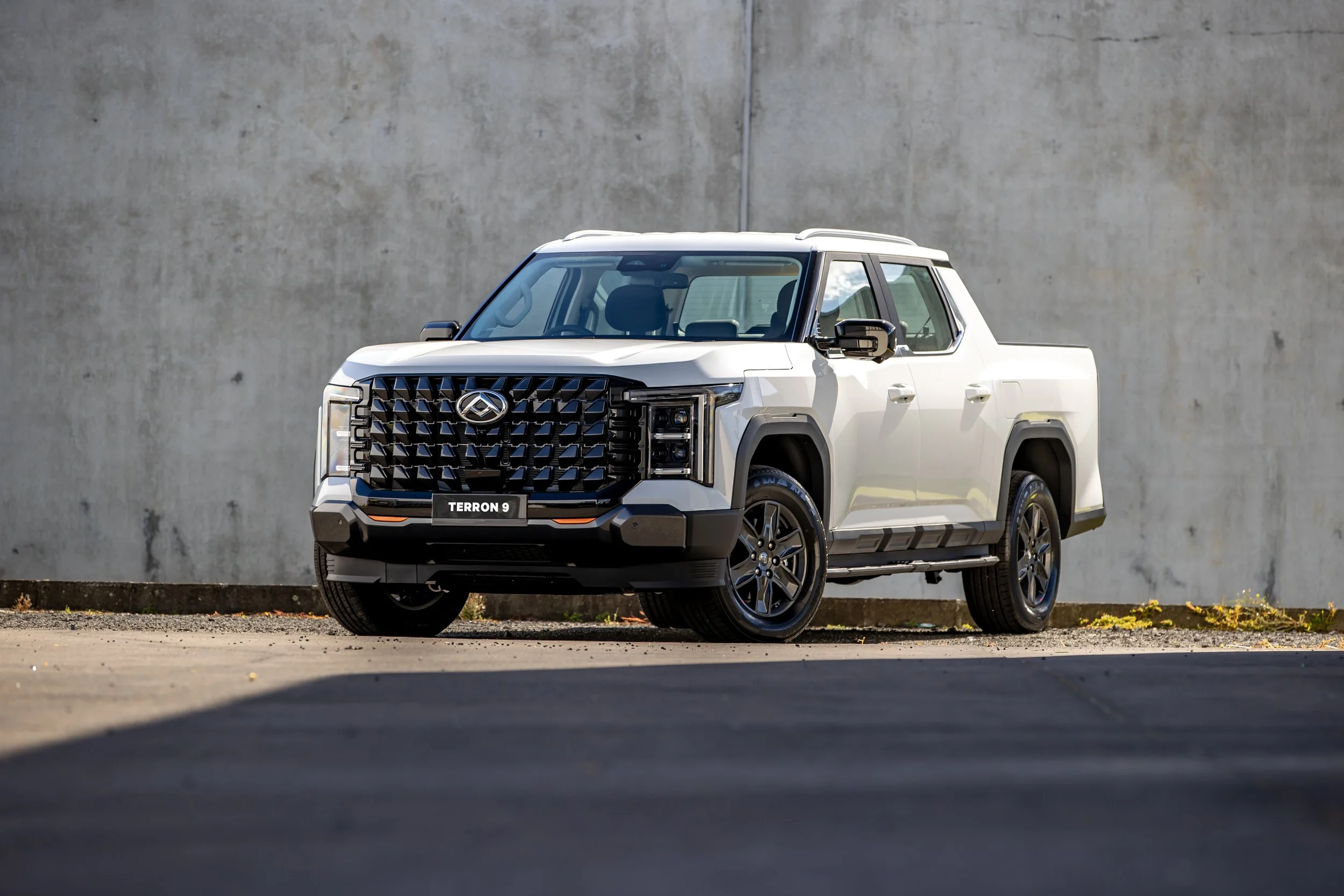 LDV goes large with Terron 9