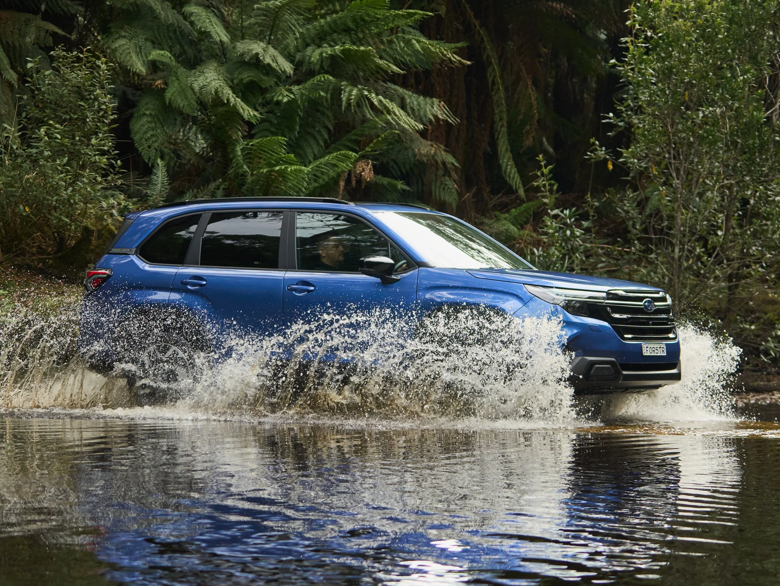 Forester development a tricky terrain