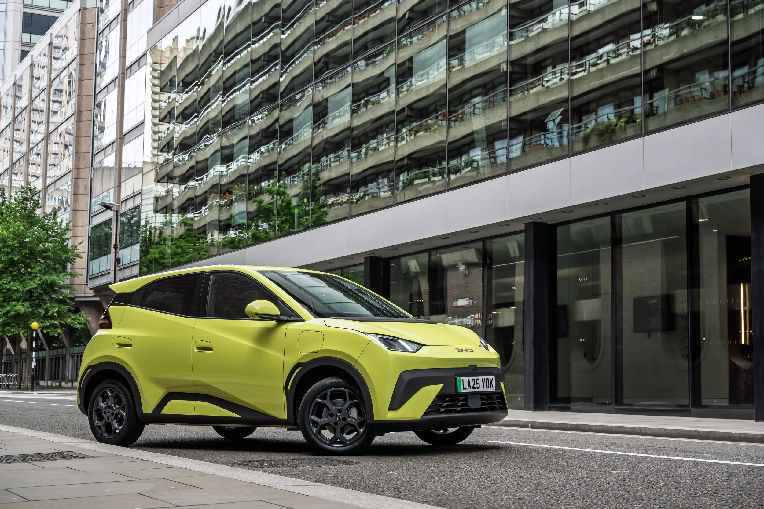 BYD baby on price attack?