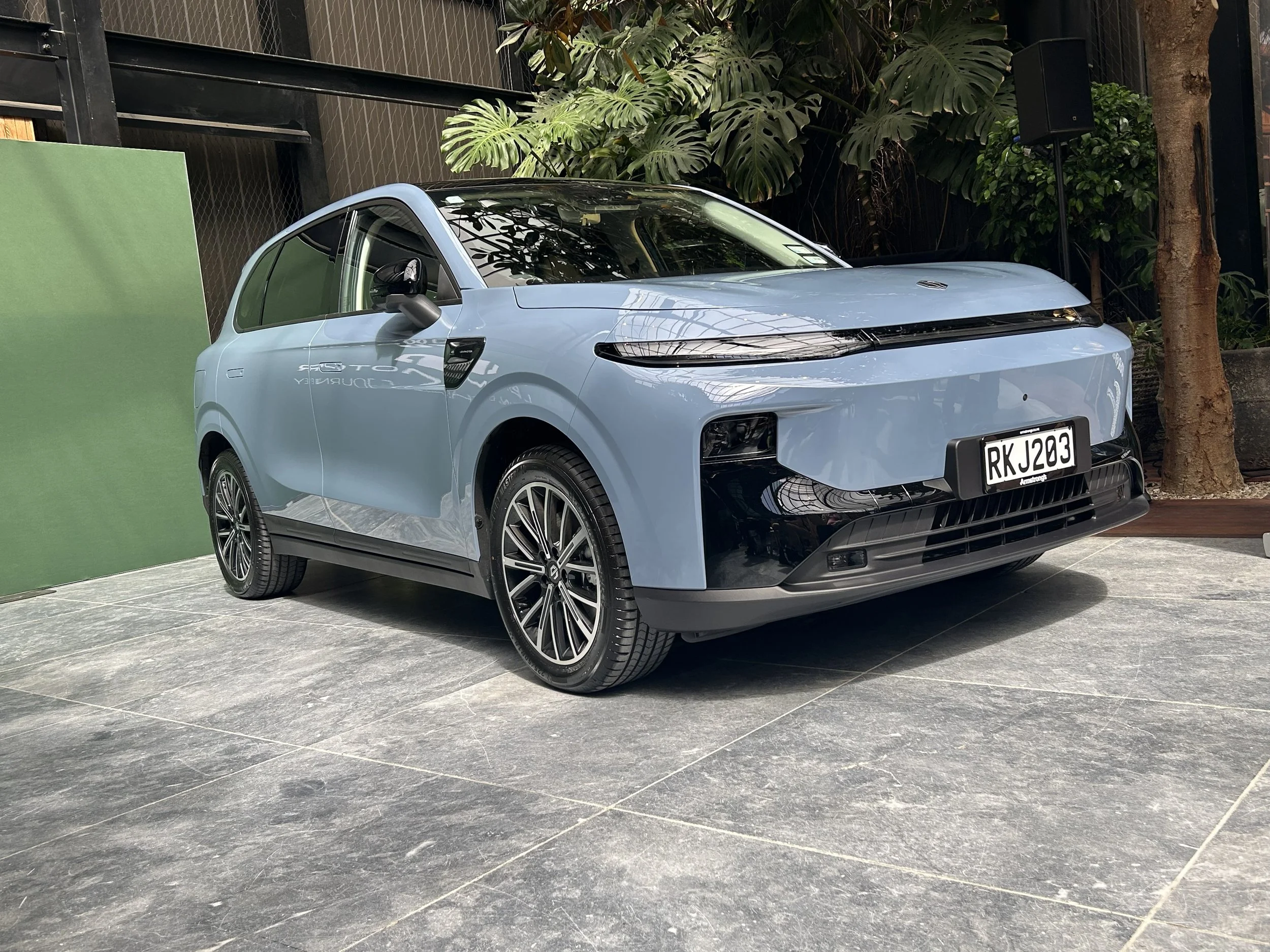 Self-drive function among potentials for Leapmotor