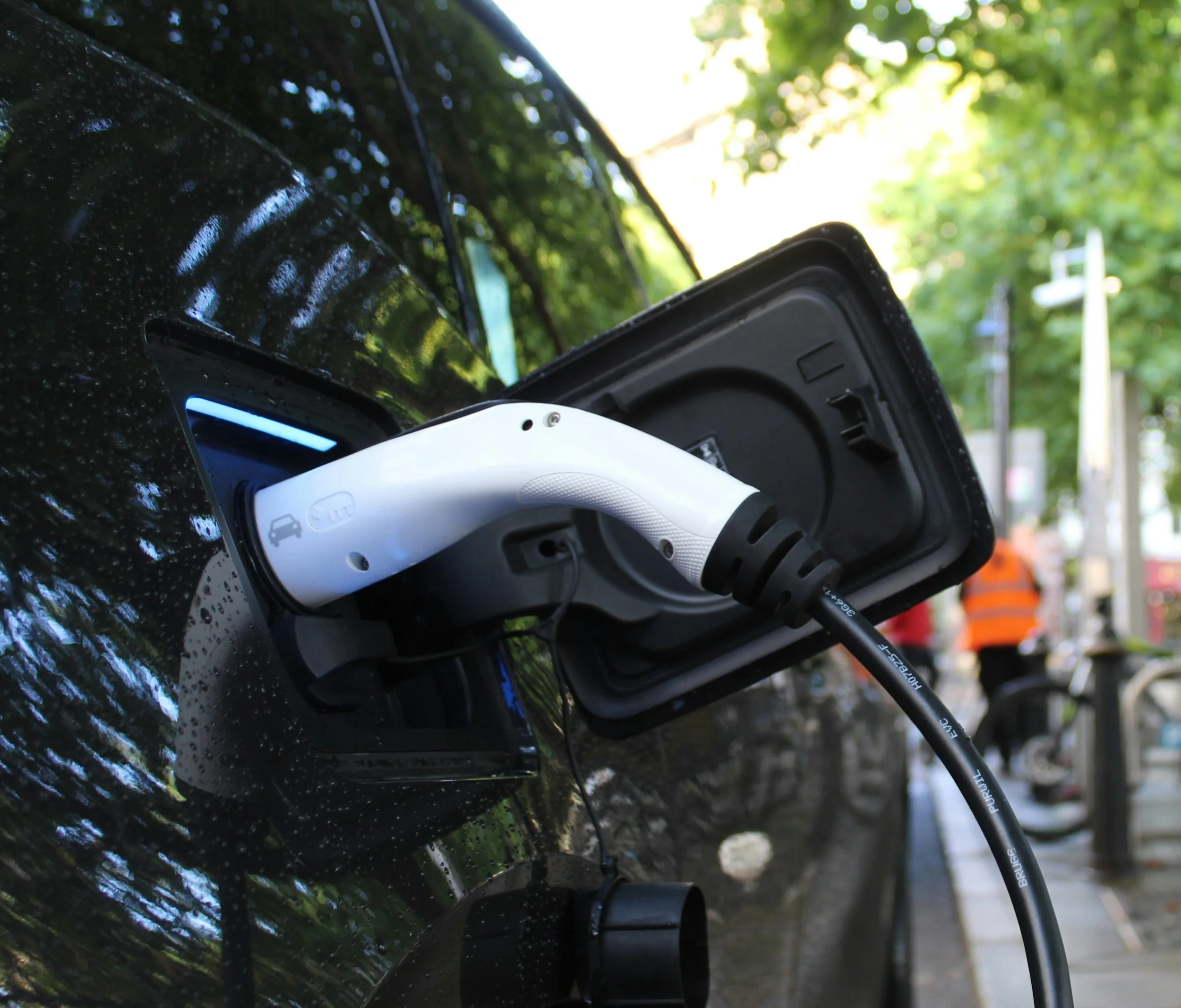 Who wants to live forever? Answer: Your EV