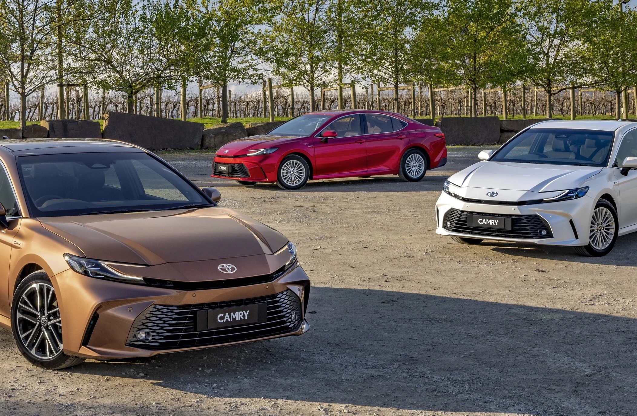 Ford Ranger, Toyota Camry under spotlight