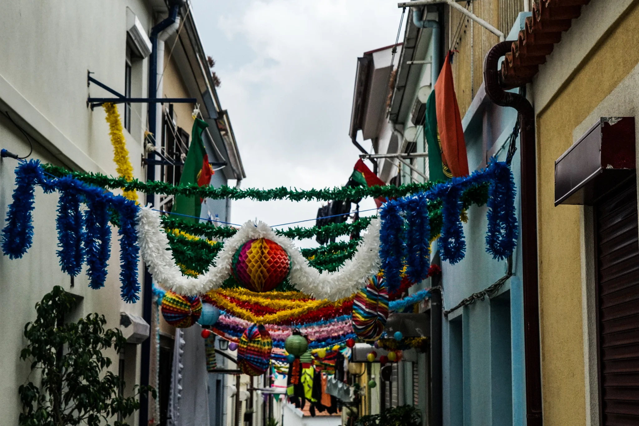 DSC02168-3.jpg